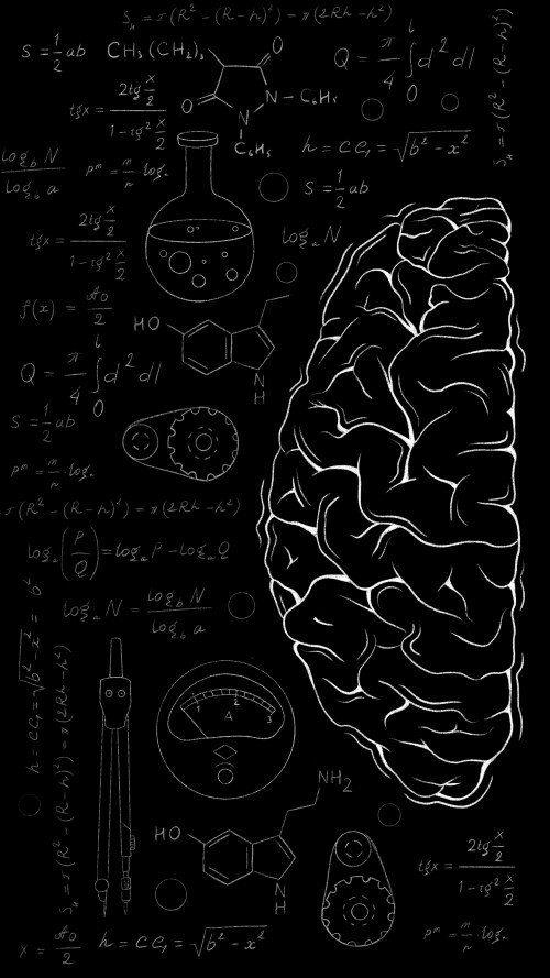 163665_original_3240x5760_1761304898.jpg