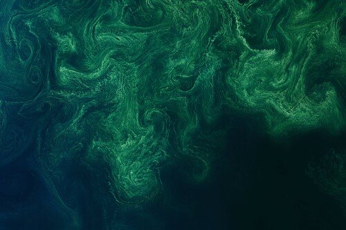 184127_original_6144x4096_1761314660.jpg