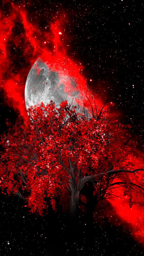 224175_original_4320x7680_1761321566.jpg