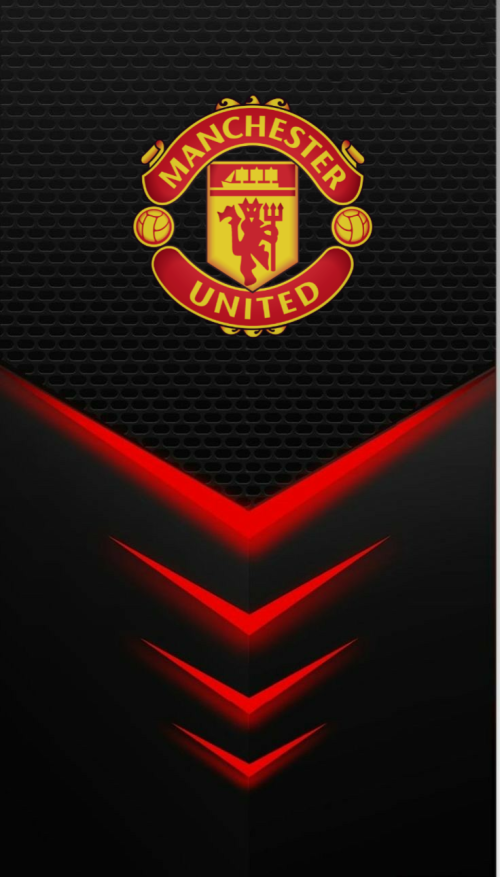 247187_original_736x1291_1761301947.png