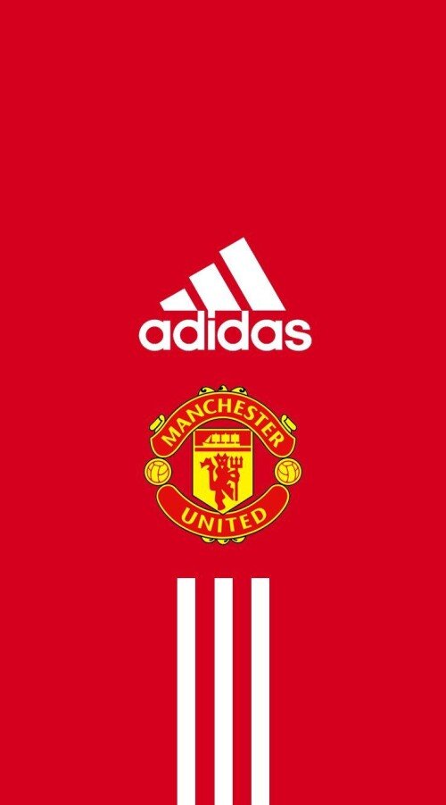 271861_original_740x1334_1761301940.jpg
