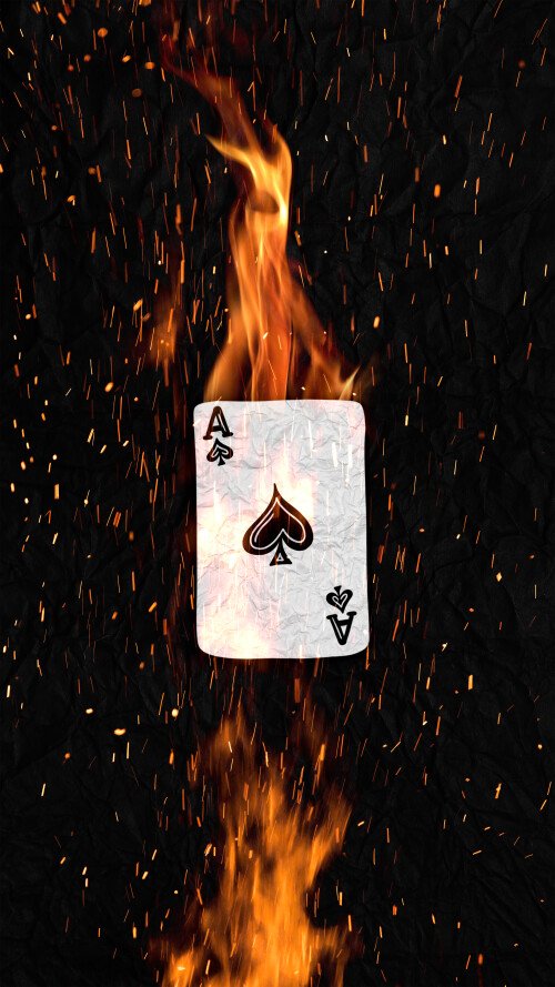 262800_original_4320x7680_1761488588.jpg