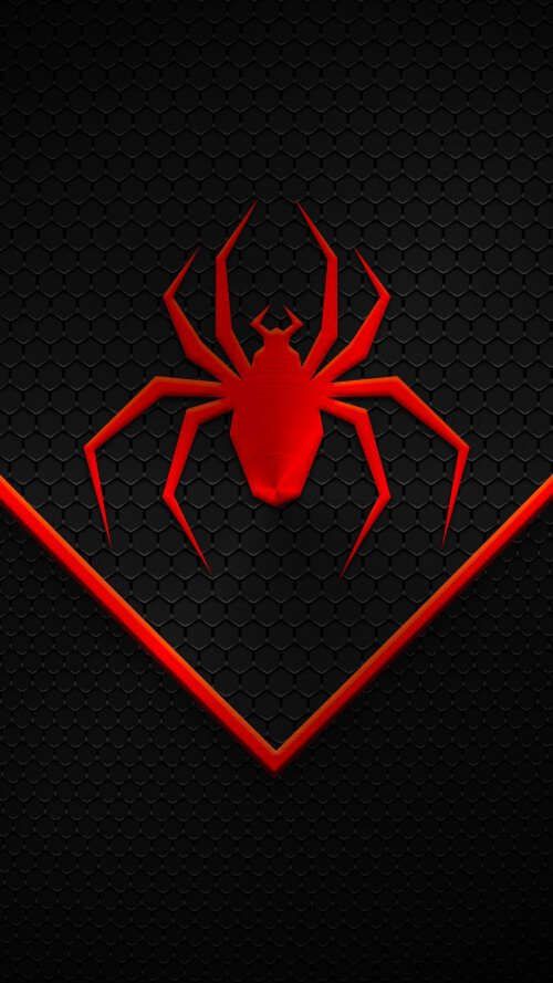 269340_original_4320x7680_1761489937.jpg